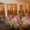 2019 Weinreise Bordeaux
